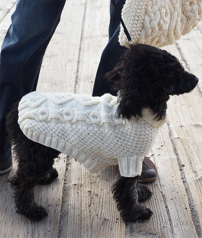 Вязанье для собак